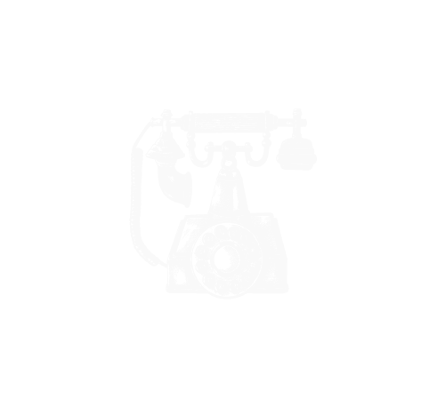 Telefono - Salvi al Flaminio icona